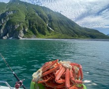 Морские приключения ждут вас!