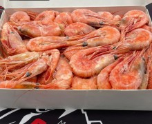 Оазис Свежести и Вкуса