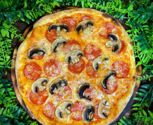 Gastro Reis 