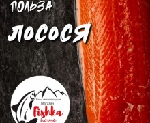 Оазис Свежести и Вкуса