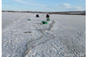 На Камчатке инспекторы рыбоохраны изъяли за год почти 8,5 тонн рыбы 