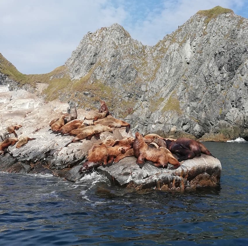 Бухта Русская с высадкой на берег и морской рыбалкой
